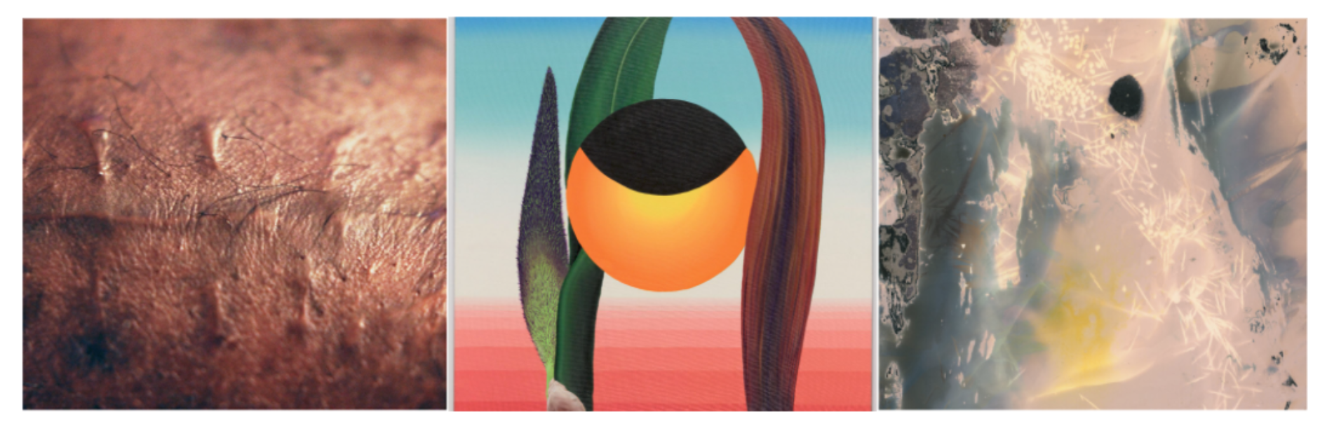 Three images in a row. From left to right, a close up detail of scarred skin, an abstract painting with leaves and a sun like orb, an abstract image with greys blues, white and yellow static designs.